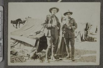 Search the Collection Search the Collection