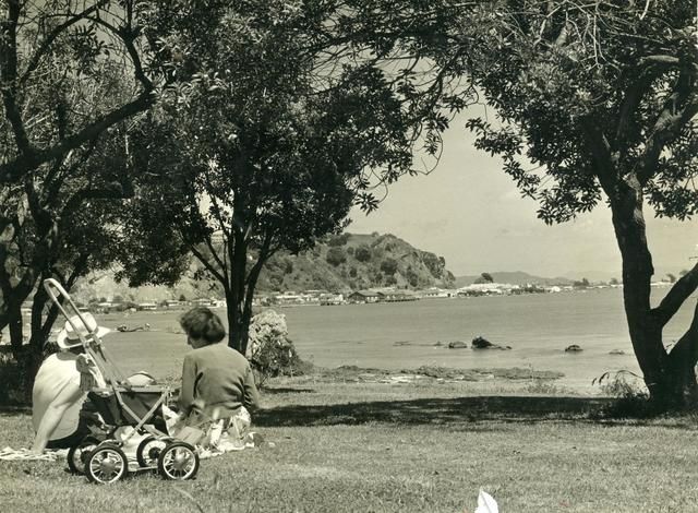 Whakatane Heads picnic