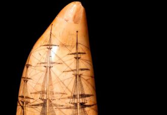 Scrimshaw tooth.