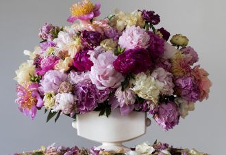 Peonies, Emma Bass