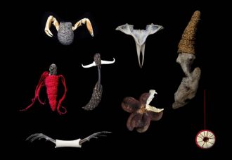 “Figments selection -collaborative works”