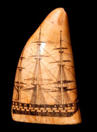 Scrimshaw tooth.